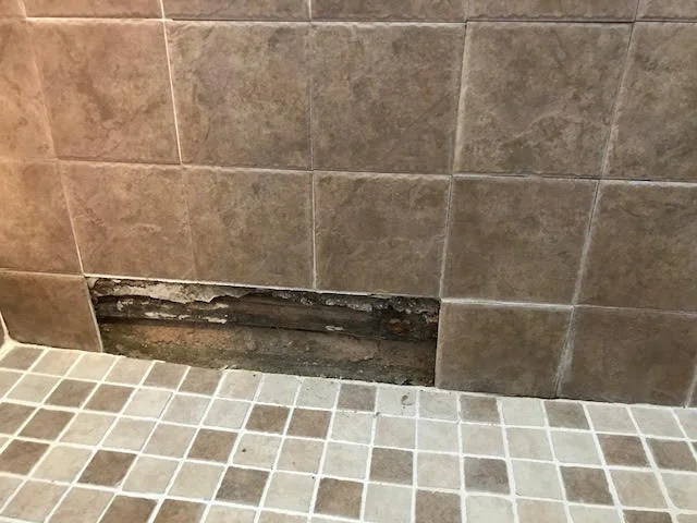 Cement board behind tile completely deteriorated