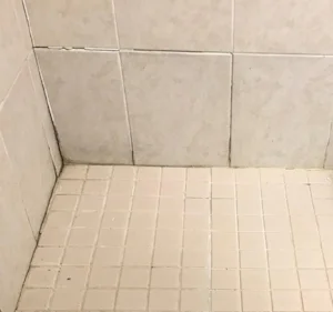Close-up view of a tiled shower floor and lower wall with light-colored tiles, visible grout lines, and minor signs of wear.