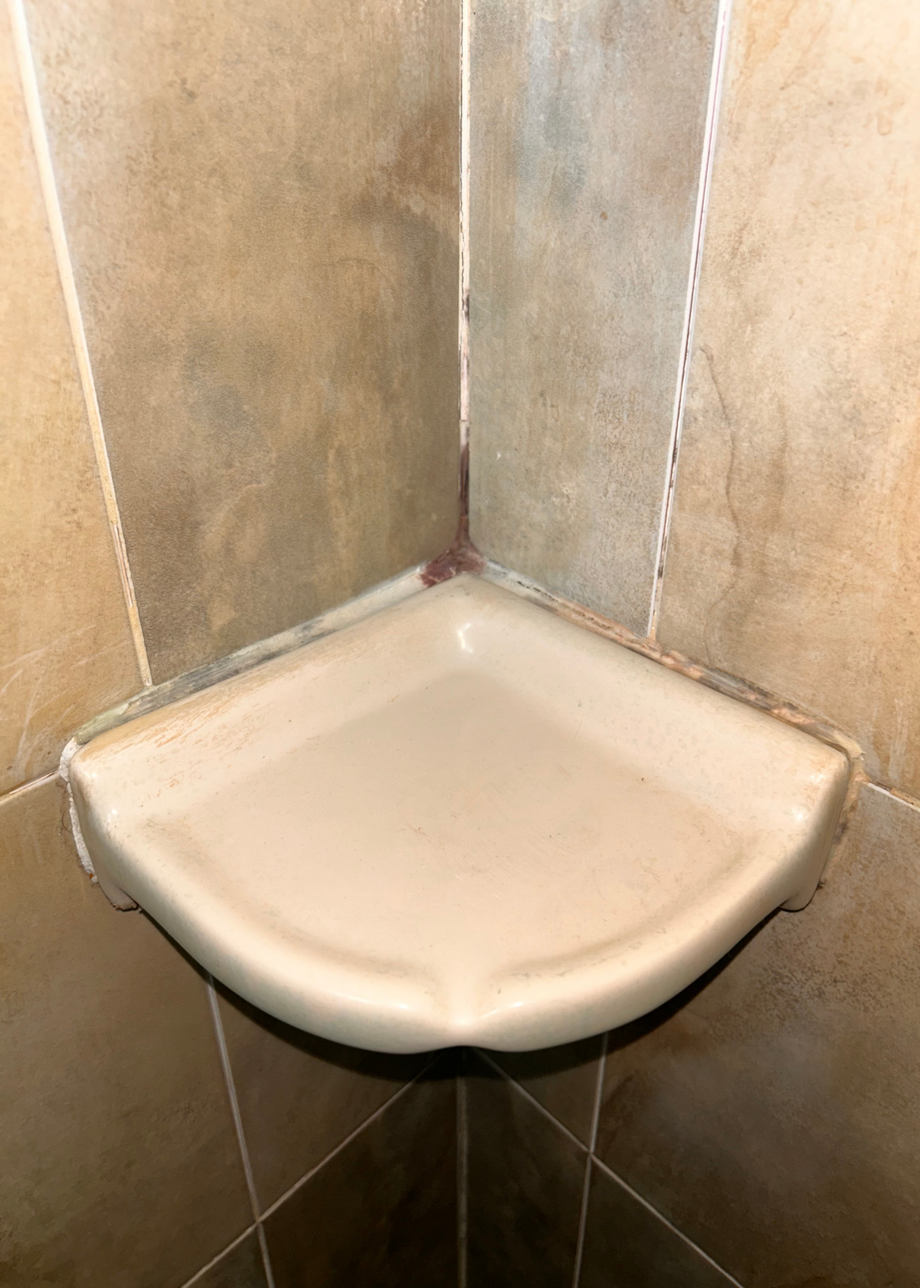 Mrs Grout – Before – 1 Mrs Grout - Before - 1