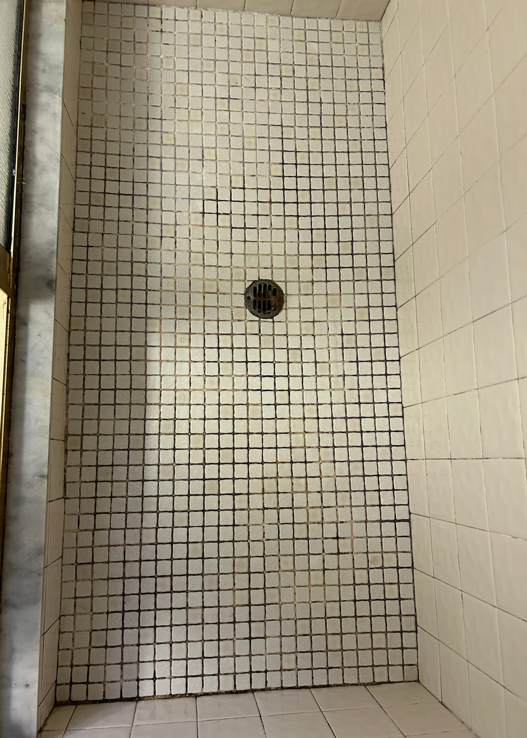 Mrs Grout – Before – 2 Mrs Grout - Before - 2