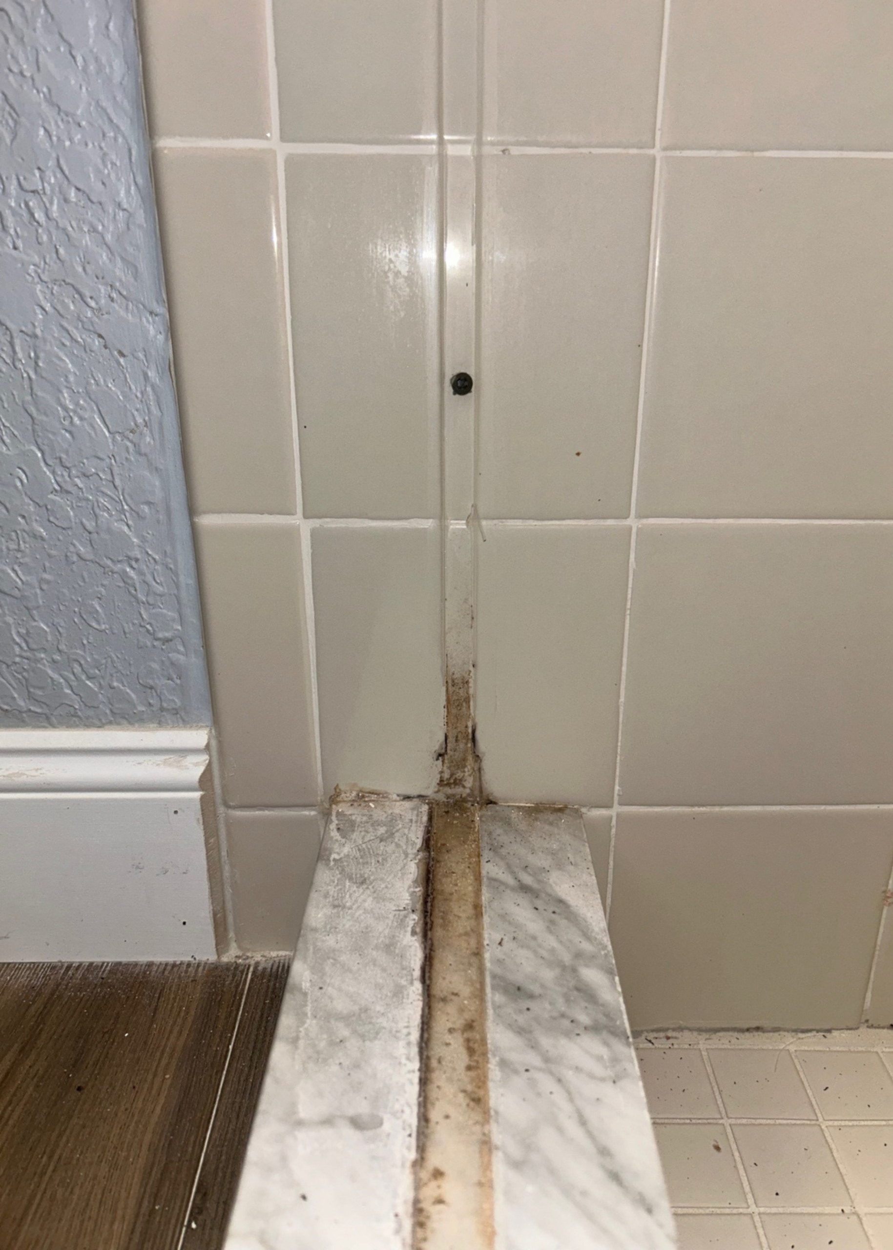 Mrs Grout – Before – 3 Mrs Grout - Before - 3