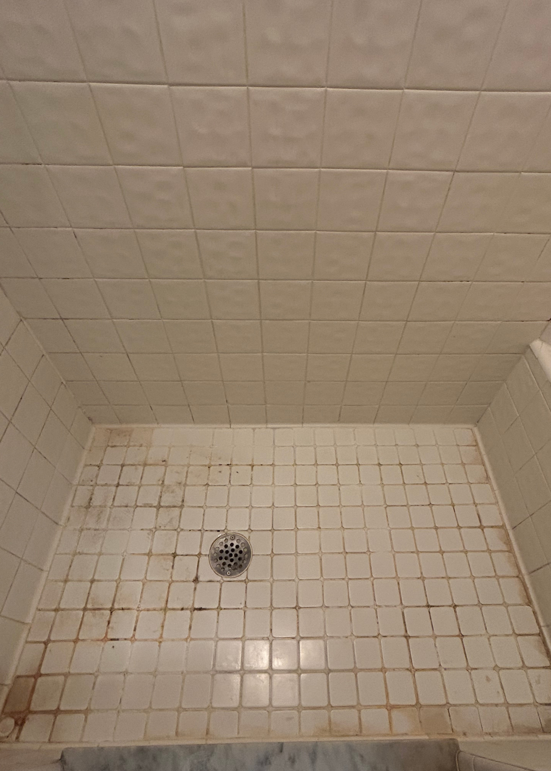 Mrs Grout – Before – 5 Mrs Grout - Before - 5
