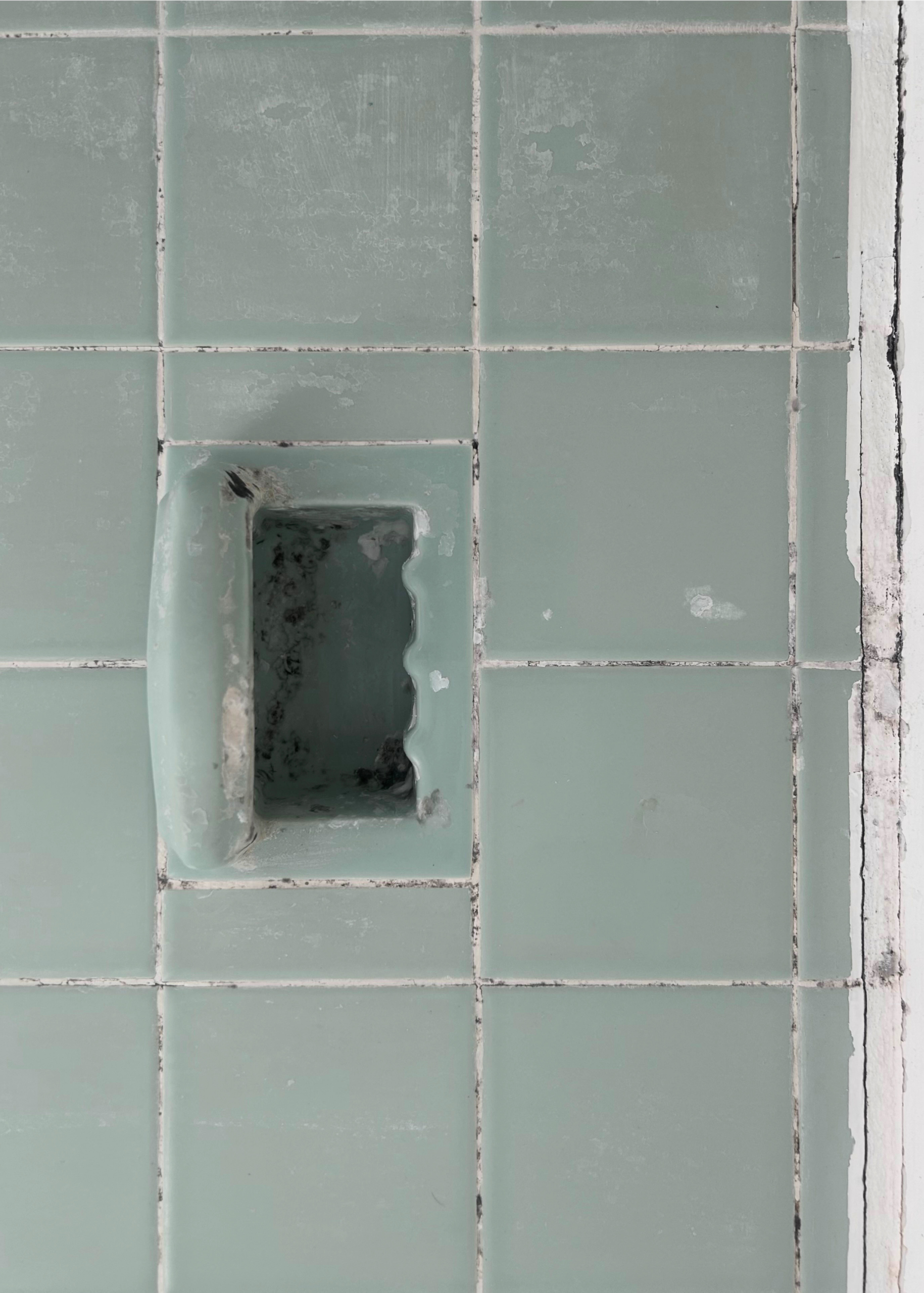 Mrs Grout – Before – 7 Mrs Grout - Before - 7